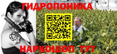 каннабис Будённовск