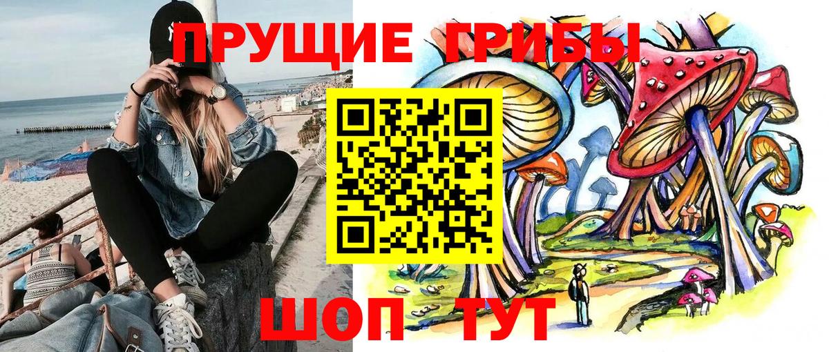 Псилоцибиновые грибы Psilocybe  Вход с VPN  Галлюциногенные грибы мицелий  Кузнецк 